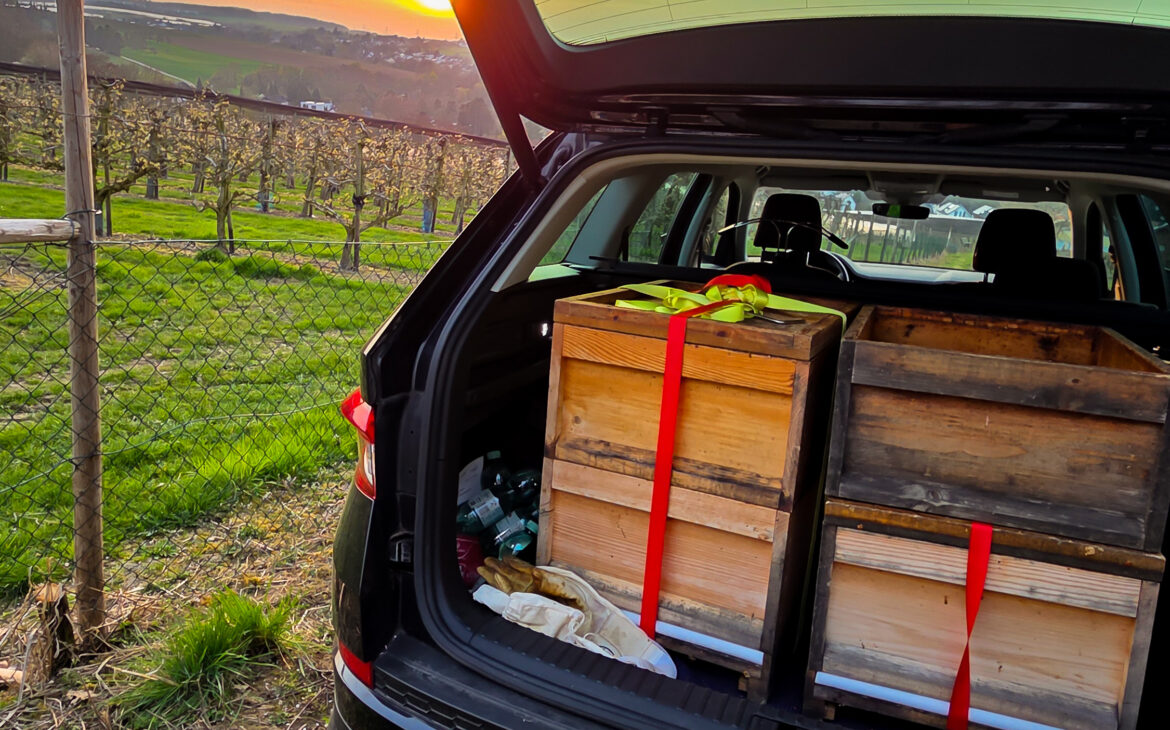 Neues Jahr - Neue Völker