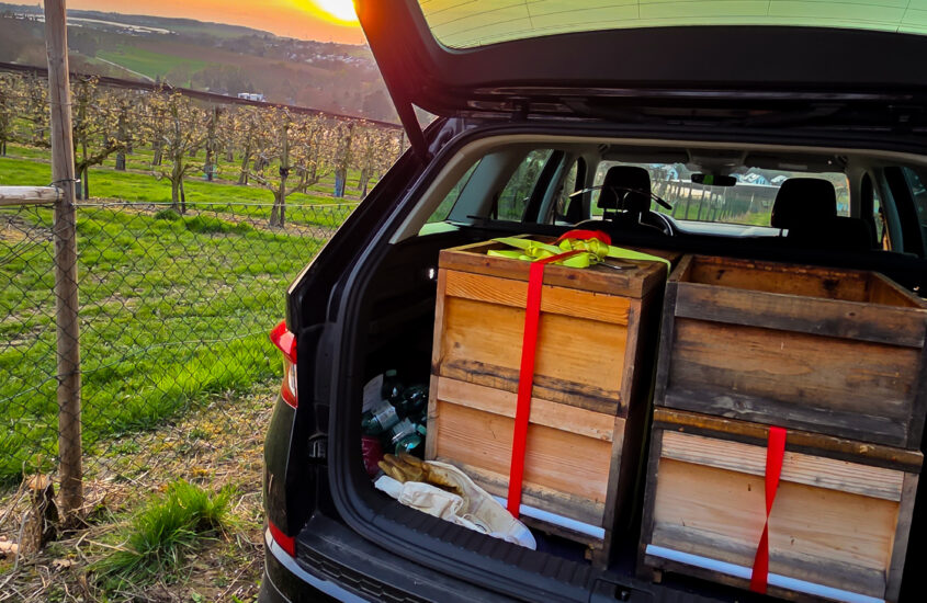 Neues Jahr – Neue Völker