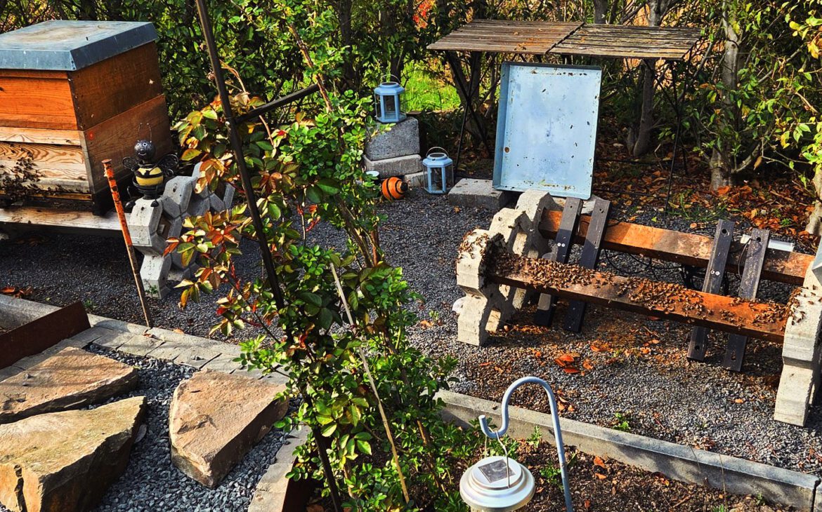 Bienenstand vorbereiten